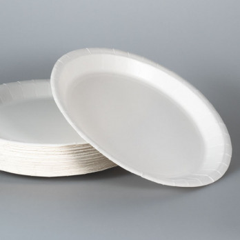 Assiette ronde en carton blanc Ø 23 cm