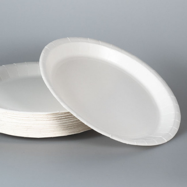 Assiette ronde en carton blanc Ø 23 cm