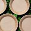 assiette kraft large en carton