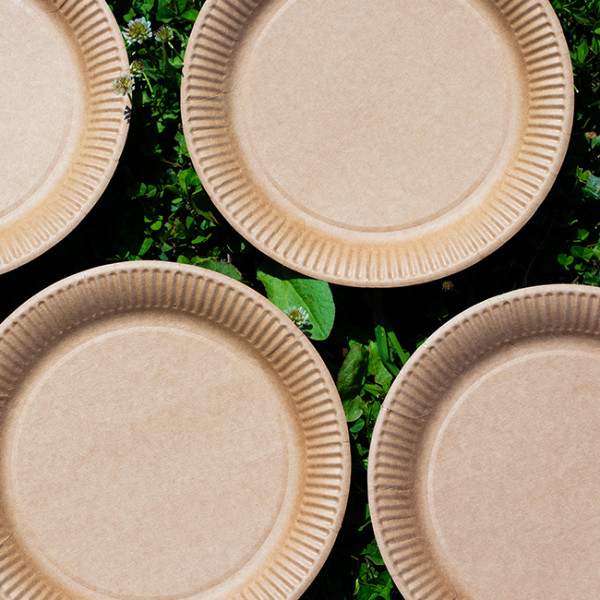 assiette kraft large en carton