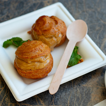 Assiettes carrées en fibres végétales