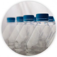 Plastique PP pour emballage alimentaire