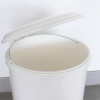 poubelle a pedale blanche 20 L 20P008 poubelle a pedale 20 L plastique blanc poubelle a pedale blanche 20 L 20P008