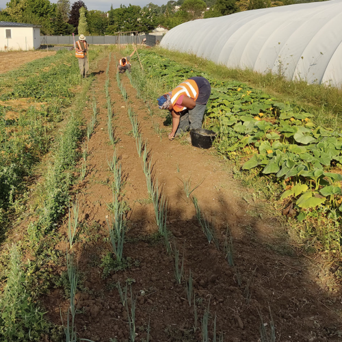 Jardin et projet agroécologique du CPIE des Pays Tarnais