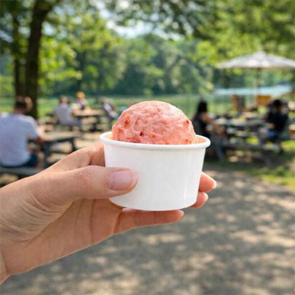Pots à glace en carton blanc pour glacier 120 mL 1 boule
