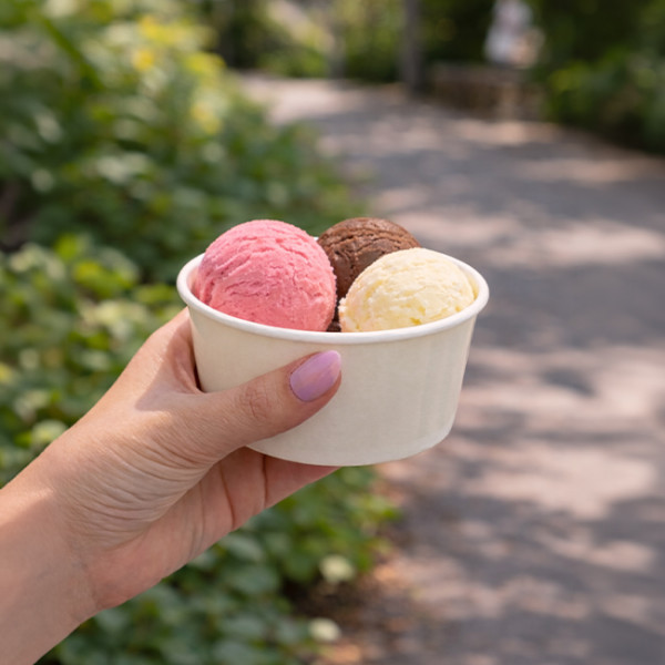 Gros pot carton pour boules de glaces