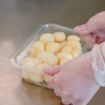 Barquette avec couvercle attenant en PET 1000 mL