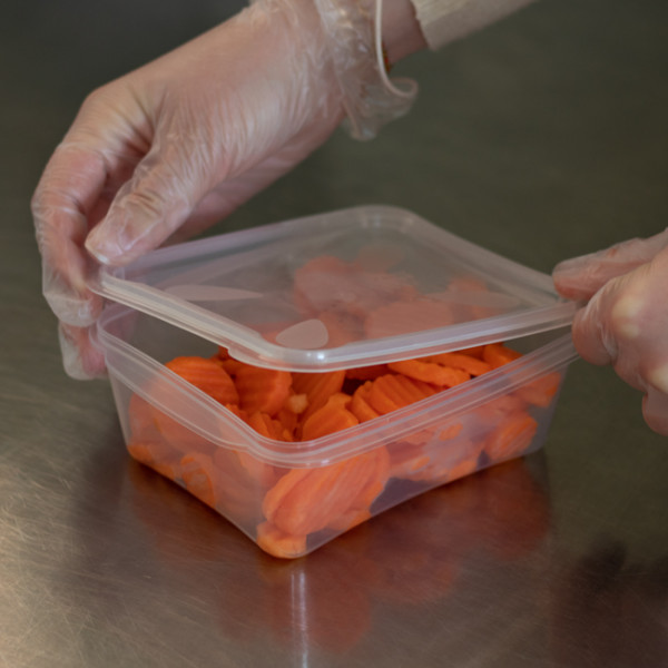 boite congelation 600g couvercle séparé i20040 f