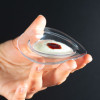 Verrine assiette ellipse transparente luxe ovale 4 cL lingettes rafraîchissantes.