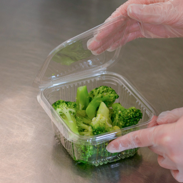 Barquette en plastique avec couvercle attenant dans différentes contenances