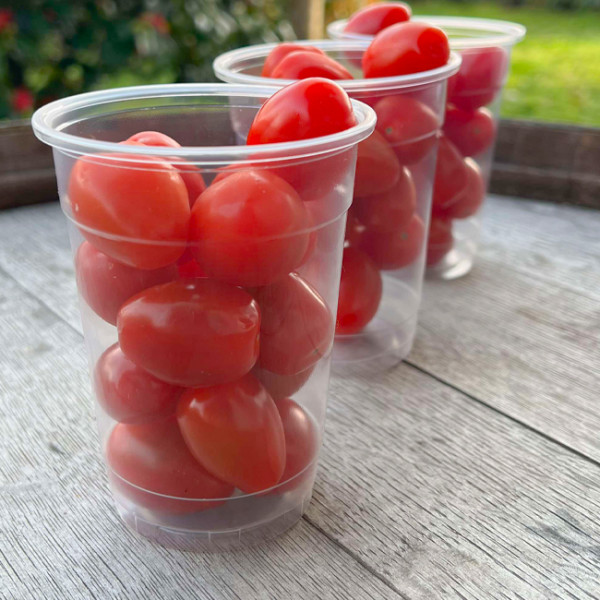 Pot alimentaire en plastique réutilisable 33 cL pour produits solides