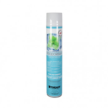 Aérosol assainisseur d'air bactéricide Menthe 750 mL