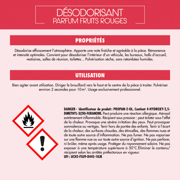 aerosol desodorisant d'atmosphere parfum fruits rouges 750 ml B50011 image