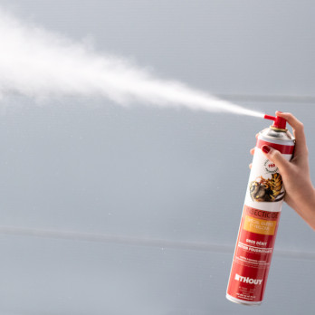 Insecticide aérosol guêpes et frelons 750 mL