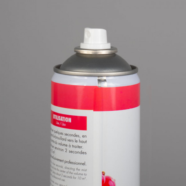 Insecticide pour guêpes et frelons en aérosol - 750 mL. Autre option Insecticide 125mL pour rampants et volants.