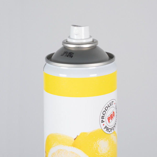 Aérosol désodorisant Fruits rouges 750 mL parfum fruits rouges - 750 mL.