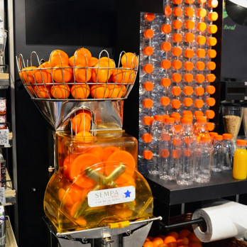 Bouteille féria en plastique 1 L avec capsule à vis