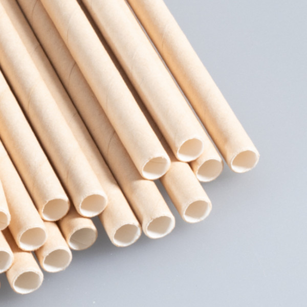 paille carton kraft 20 cm 6 mm 57P005 57p005 57P005