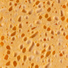 Mousse d'éponge végétale jaune professionnelle thouy 21E006
