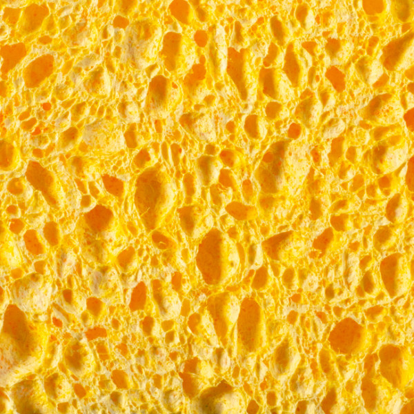 Eponge végétale sur tampon vert abrasif petit format D10005.