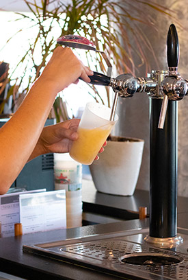 gobelets à bières jetables et réutilisables