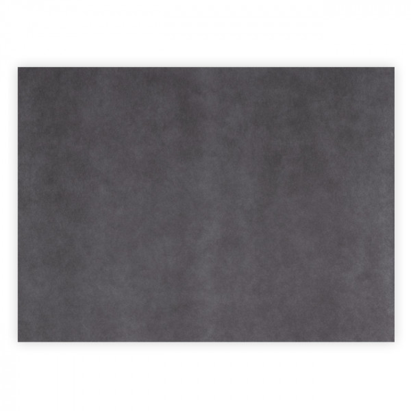 Set de table anthracite 30 x 40 cm en spunbond