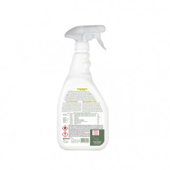 Détergent désinfectant sans rinçage PAE Ecocert 750 mL