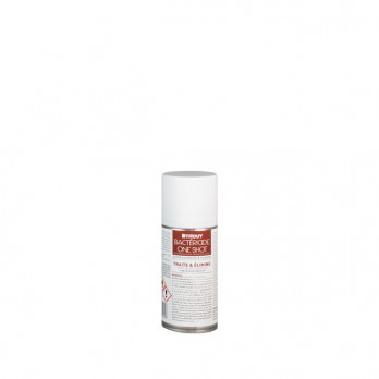 Aérosol assainisseur bactéricide virucide unidose 150 mL