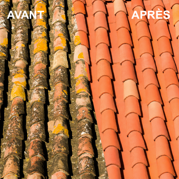 Avant après atimousse professionnel pour toitures