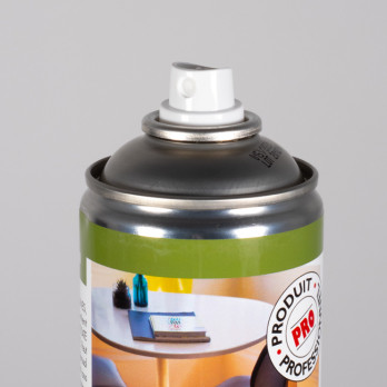 Aérosol polish sans silicone 750 mL