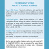 Mode d'emploi Nettoyant vitres 5 L