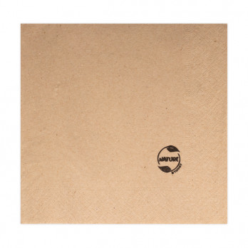 Serviette en papier ouate kraft 2 plis 30 x 30