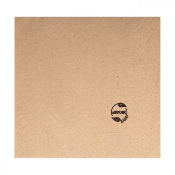 Serviette papier ouate nature 2 plis 30x30 cm