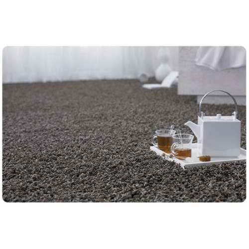 Nettoyant moquette professionnel thouy