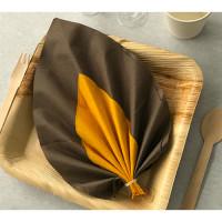 Pliage de Serviette Feuille 1