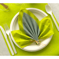 pliage de serviette feuille 2