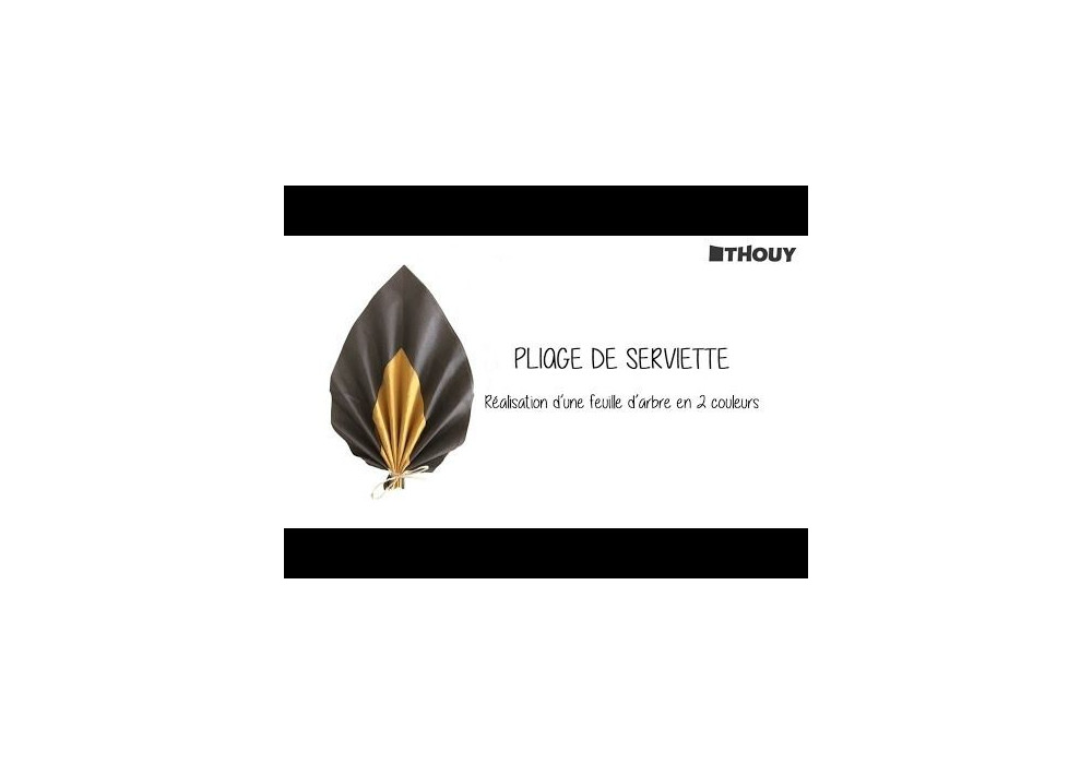 VIDEO EXPLICATIVE : PLIAGE SERVIETTE FEUILLE D'ARBRE